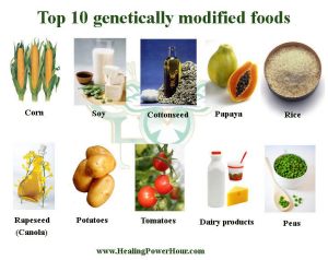 top-10-gmo-foods